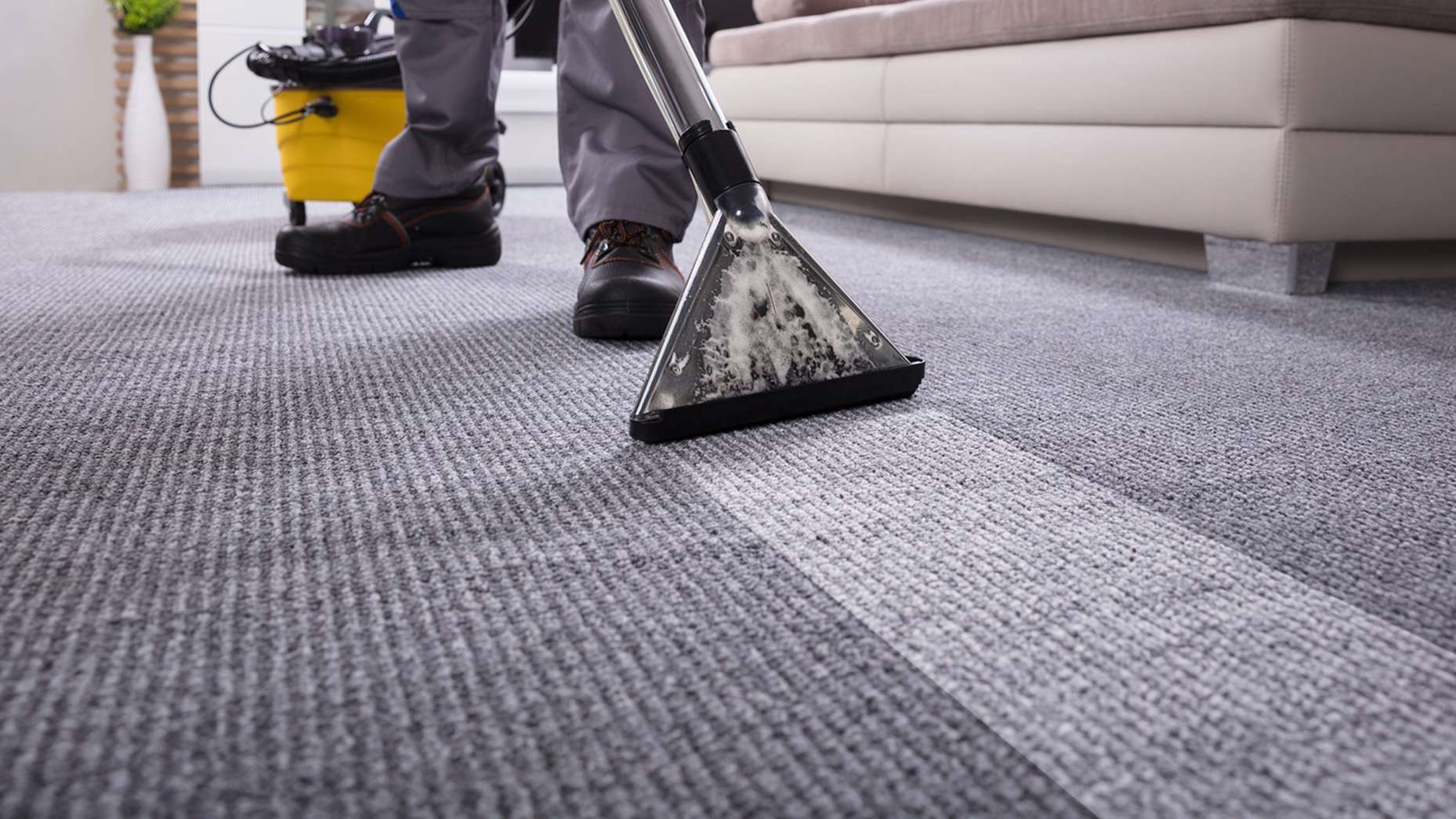 Can a steam cleaner clean carpets фото 112